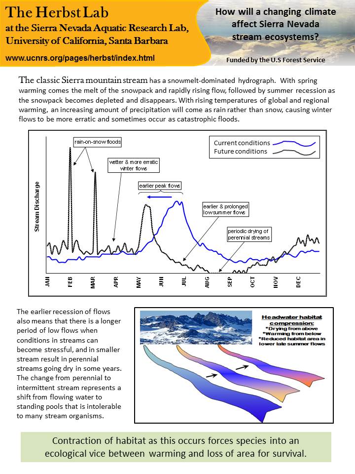 A changing Sierra hydrograph